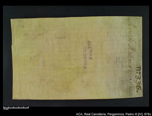 Cancillería,pergaminos,Pedro_IV,carp.253,nº878/ Época de Pedro IV. (3-08-1344)