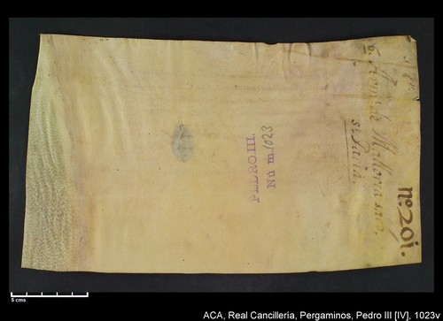 Cancillería,pergaminos,Pedro_IV,carp.256,nº1023/ Época de Pedro IV. (24-09-1344)