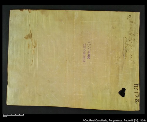 Cancillería,pergaminos,Pedro_IV,carp.258,nº1124/ Época de Pedro IV. (12-09-1345)
