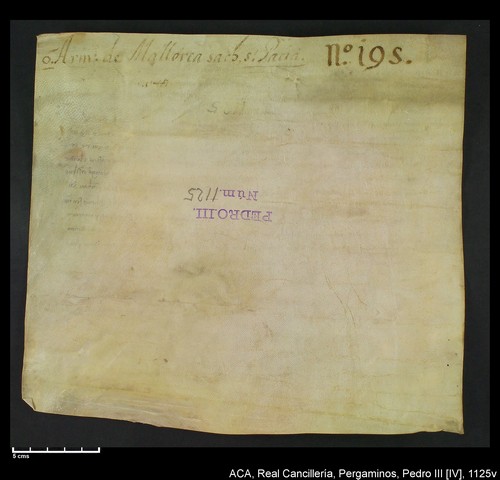 Cancillería,pergaminos,Pedro_IV,carp.258,nº1125/ Época de Pedro IV. (13-09-1345)