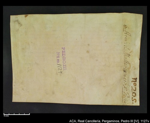 Cancillería,pergaminos,Pedro_IV,carp.258,nº1127/ Época de Pedro IV. (13-09-1345)