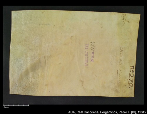 Cancillería,pergaminos,Pedro_IV,carp.258,nº1134/ Época de Pedro IV. (20-09-1345)