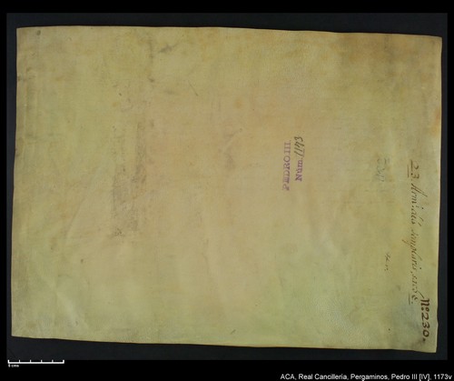 Cancillería,pergaminos,Pedro_IV,carp.259,nº1173/ Época de Pedro IV. (12-02-1345)