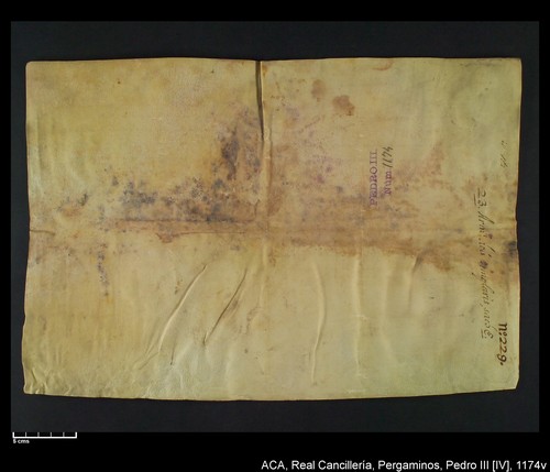 Cancillería,pergaminos,Pedro_IV,carp.259,nº1174/ Época de Pedro IV. (12-02-1345)