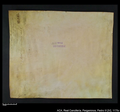 Cancillería,pergaminos,Pedro_IV,carp.259,nº1175/ Época de Pedro IV. (12-02-1345)