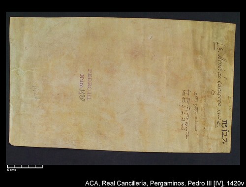 Cancillería,pergaminos,Pedro_IV,carp.264,nº1420/ Época de Pedro IV. (3-09-1348)