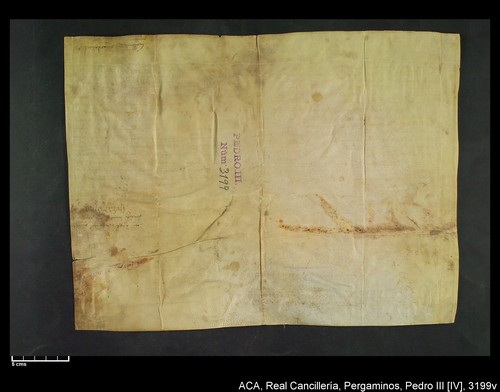 Cancillería,pergaminos,Pedro_IV,carp.299,nº3199/ Época de Pedro IV. (30-05-1383)