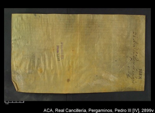 Cancillería,pergaminos,Pedro_IV,carp.293,nº2899/ Época de Pedro IV. (15-04-1378)