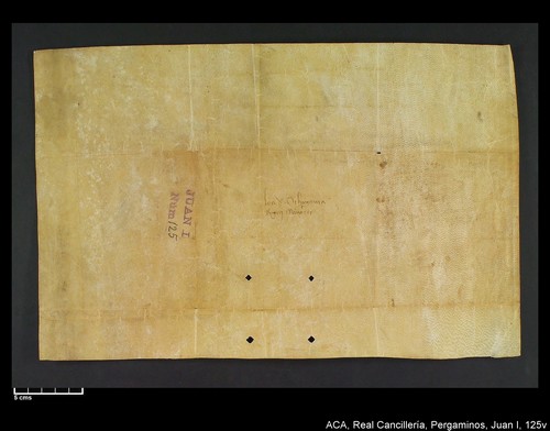 Cancillería,pergaminos,Juan_I,carp.309,nº125/ Época de Juan I. (25-03-1388)