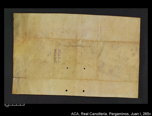 Cancillería,pergaminos,Juan_I,carp.312,nº265/ Época de Juan I. (10-03-1391)