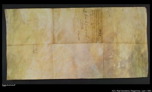 Cancillería,pergaminos,Juan_I,carp.313,nº345/ Época de Juan I. (4-06-1392)