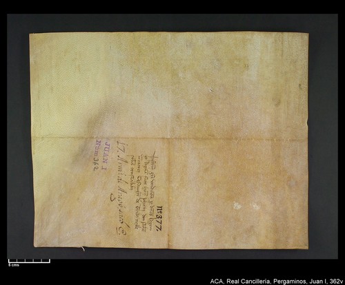 Cancillería,pergaminos,Juan_I,carp.314,nº362/ Época de Juan I. (4-09-1392)
