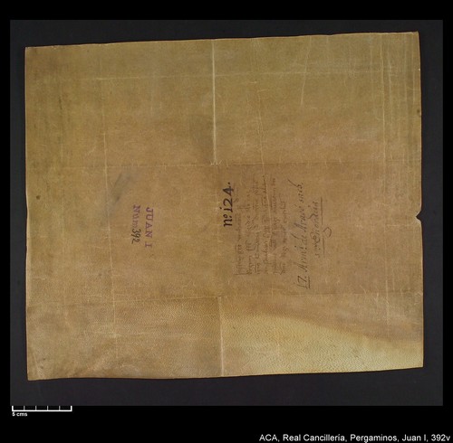 Cancillería,pergaminos,Juan_I,carp.314,nº392/ Época de Juan I. (22-01-1393)
