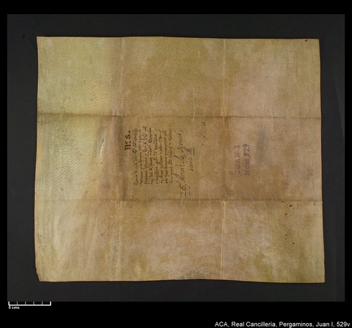 Cancillería,pergaminos,Juan_I,carp.317,nº529/ Época de Juan I. (9-09-1394)