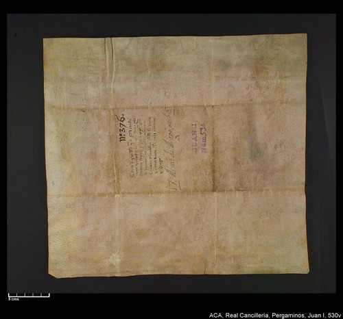 Cancillería,pergaminos,Juan_I,carp.317,nº530/ Época de Juan I. (9-09-1394)
