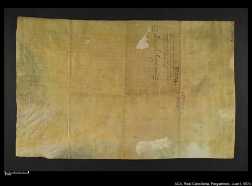 Cancillería,pergaminos,Juan_I,carp.318,nº557/ Época de Juan I. (16-02-1395)
