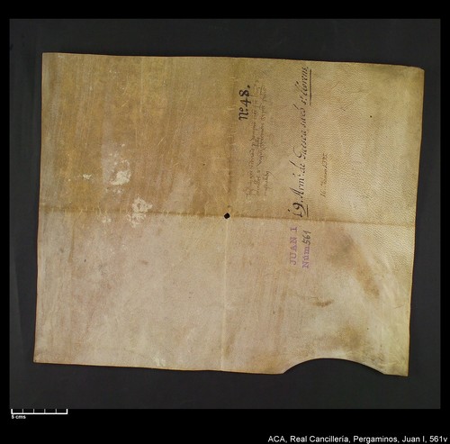Cancillería,pergaminos,Juan_I,carp.318,nº561/ Época de Juan I. (16-02-1395)
