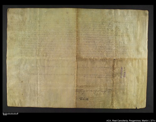 Cancillería,pergaminos,Martín_I,carp.328,nº371/ Época de Martín I. (2-05-1407)