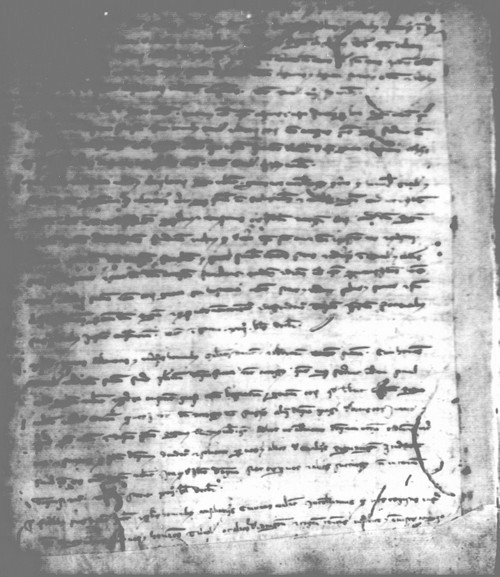 Cancillería,registros,nº74,fol.19v/ Época de Alfonso III. (12-11-1287)