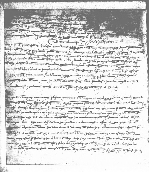 Cancillería,registros,nº13,fol.211v/ Salvaguardia. (12-08-1264)