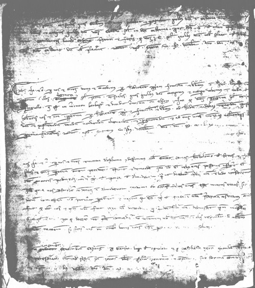 Cancillería,registros,nº10,fol.148v/ Concesión. (8-08-1259)
