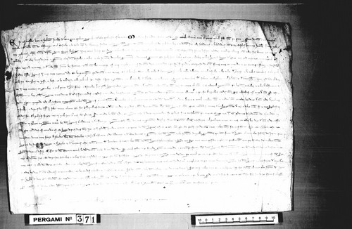 Cancillería,pergaminos,Pedro_III,carp.115,nº371/ Donación. (3-09-1283)