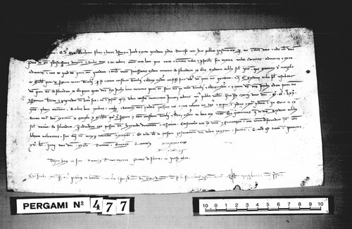 Cancillería,pergaminos,Pedro_III,carp.117,nº477/ Concesión. (18-05-1285)