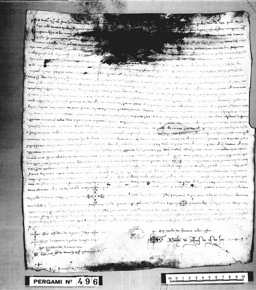 Cancillería,pergaminos,Pedro_III,carp.117,nº496/ Coronación. (19-02-1285)