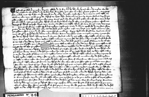 Cancillería,pergaminos,Alfonso_III,carp.119,nº86/ Relaciones internacionales. (25-07-1286)