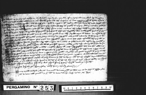 Cancillería,pergaminos,Alfonso_III,carp.124,nº253/ Debitorio. (7-11-1288)