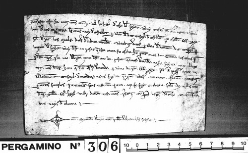 Cancillería,pergaminos,Alfonso_III,carp.125,nº306/ Debitorio. (12-04-1289)