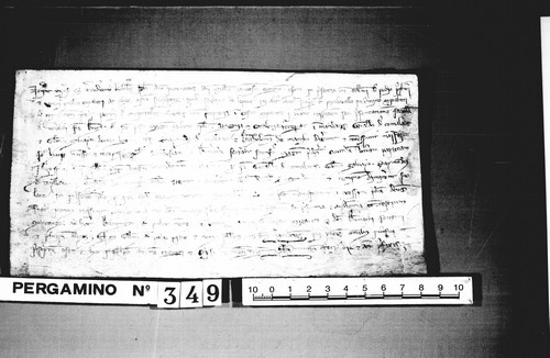Cancillería,pergaminos,Alfonso_III,carp.125,nº349/ Pergamino. (20-01-1289)