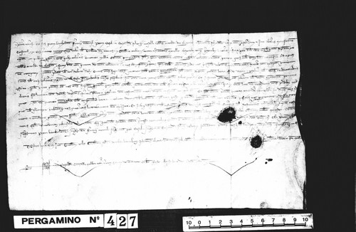 Cancillería,pergaminos,Alfonso_III,carp.128,nº427/ Debitorio. (05-1291)