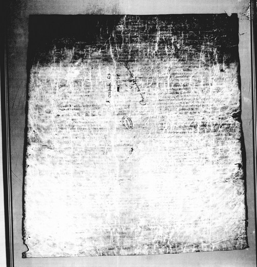 Cancillería,pergaminos,Jaime_I,carp.67,nº78/ Concordia y paz. (19-06-1217)