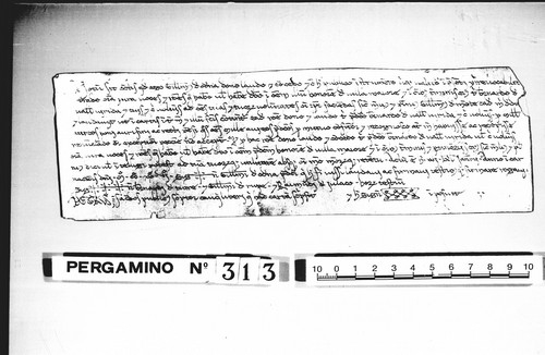 Cancillería,pergaminos,Jaime_I,carp.72,nº313/ Concesión. (17-12-1227)