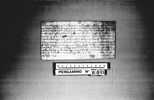 Cancillería,pergaminos,Jaime_I,carp.83,nº880/ Concesión. (4-06-1242)