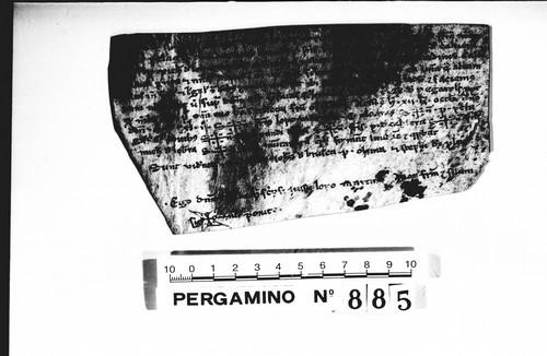 Cancillería,pergaminos,Jaime_I,carp.83,nº885/ Concesión. (20-09-1242)