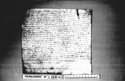 Cancillería,pergaminos,Jaime_I,carp.87,nº1084/ Privilegio real. (30-07-1247)