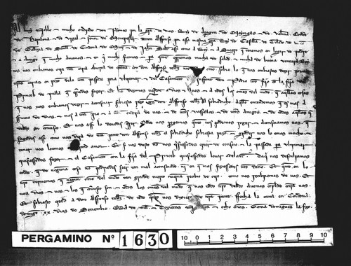 Cancillería,pergaminos,Jaime_I,carp.94,nº1630/ Capítulo matrimonial. (20-09-1258)