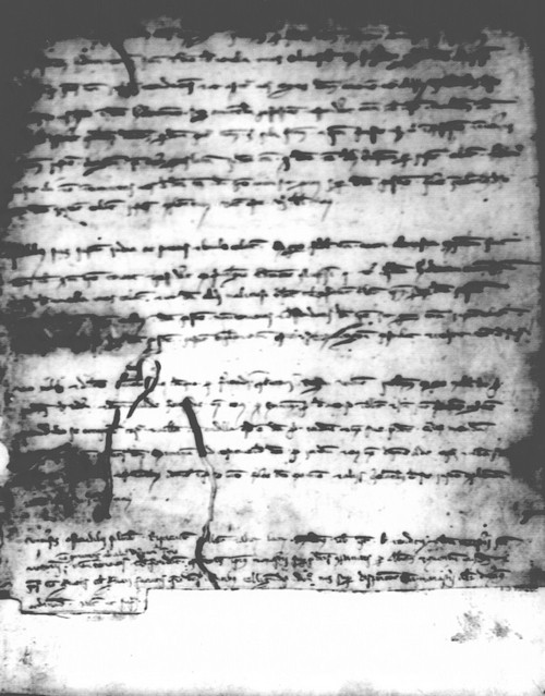 Cancillería,registros,nº66,fol.50/ Época de Alfonso III. (25-04-1286)