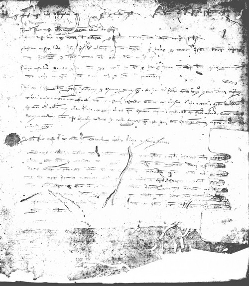 Cancillería,registros,nº59,fol.55/ Época de Pedro III. (4-08-1282)