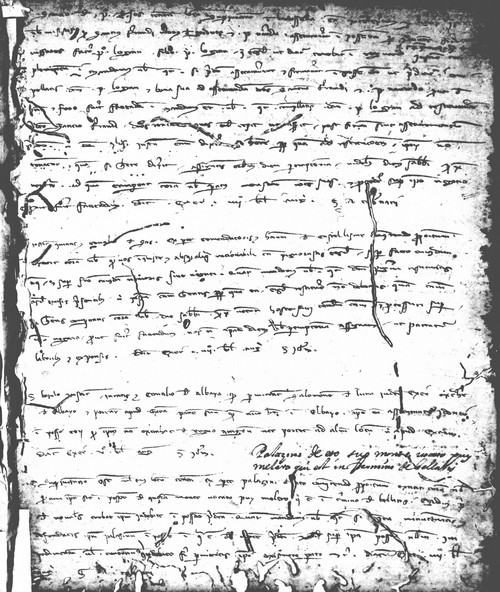 Cancillería,registros,nº61,fol.186/ Época de Pedro III. (29-07-1283)