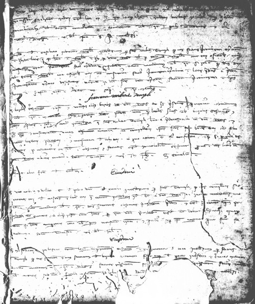 Cancillería,registros,nº61,fol.188/ Privilegio. (25-06-1283)