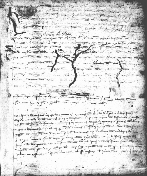 Cancillería,registros,nº78,fol.14/ Época de Alfonso III. (3-10-1288)