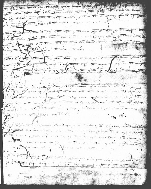 Cancillería,registros,nº81,fol.84/ Época de Alfonso III. (15-04-1290)