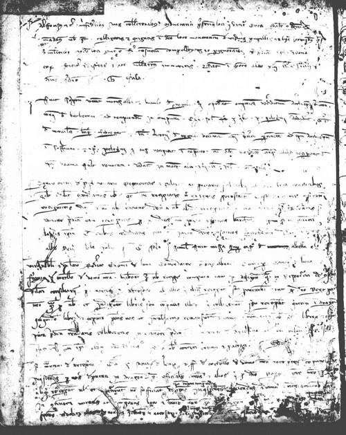 Cancillería,registros,nº81,fol.137v/ Época de Alfonso III. (19-06-1290)