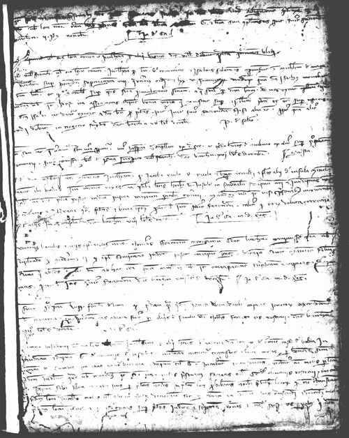 Cancillería,registros,nº81,fol.215/ Época de Alfonso III. (24-11-1290)