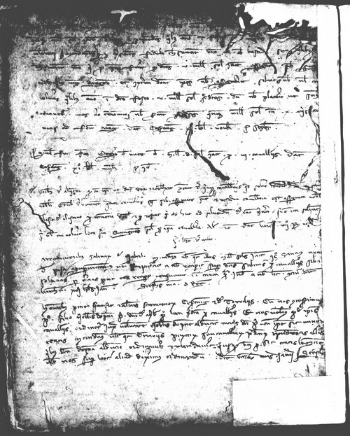 Cancillería,registros,nº83,fol.138v/ Época de Alfonso III. (7-11-1290 [SUP])