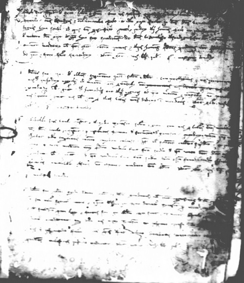 Cancillería,registros,nº50,fol.117/ Época de Pedro III. (24-06-1281)