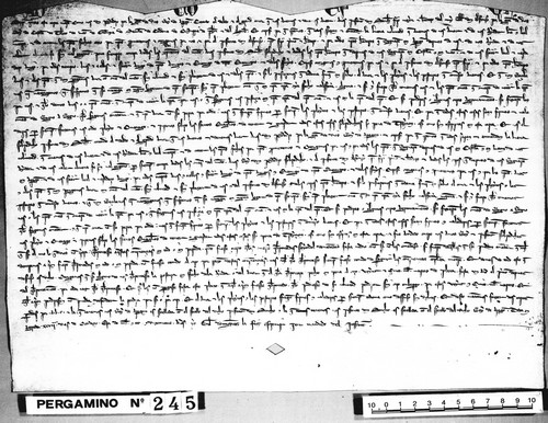 Cancillería,pergaminos,Pedro_III,carp.112,nº245/ Carta de fidelidad. (18-03-1280)